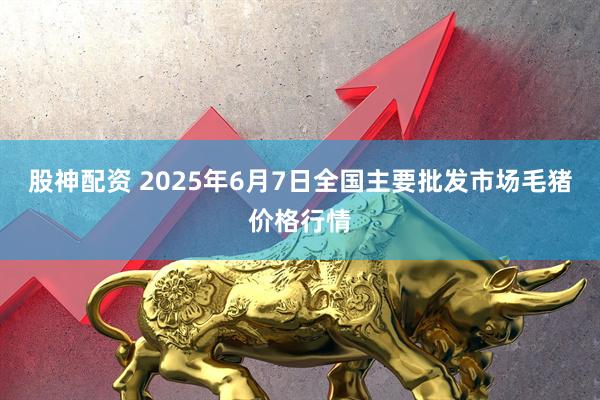股神配资 2025年6月7日全国主要批发市场毛猪价格行情