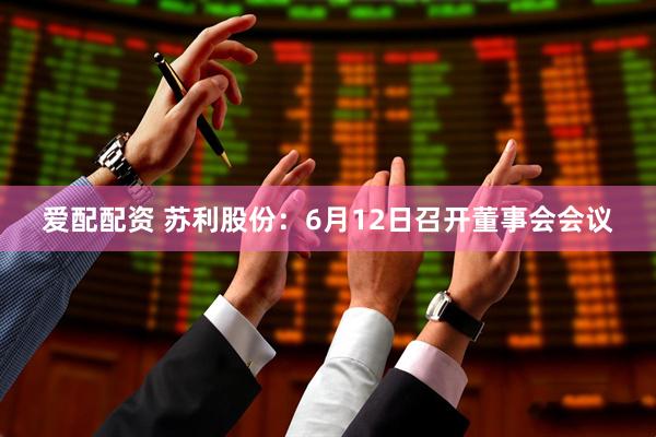 爱配配资 苏利股份：6月12日召开董事会会议