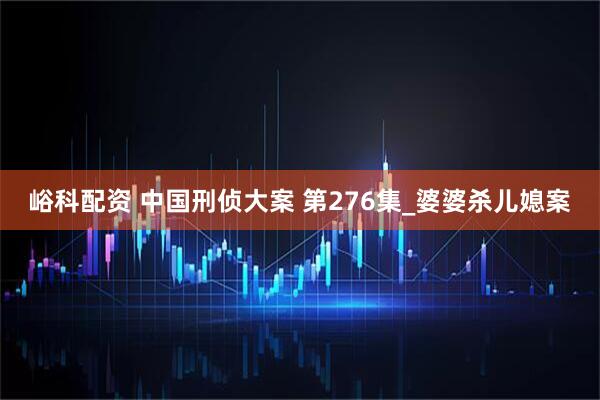峪科配资 中国刑侦大案 第276集_婆婆杀儿媳案